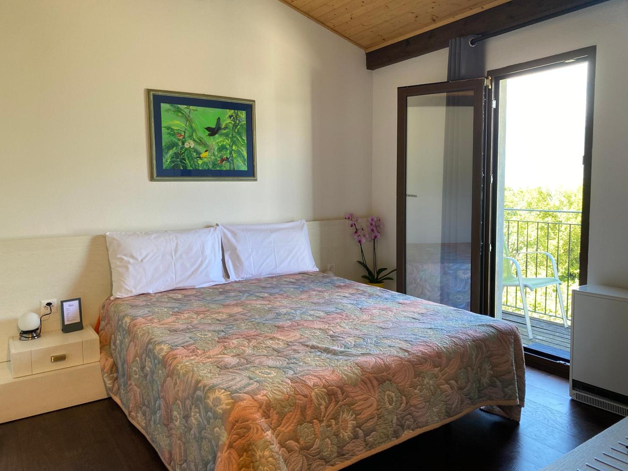 Viva Bacco Bed and Breakfast Gambarogno Εξωτερικό φωτογραφία