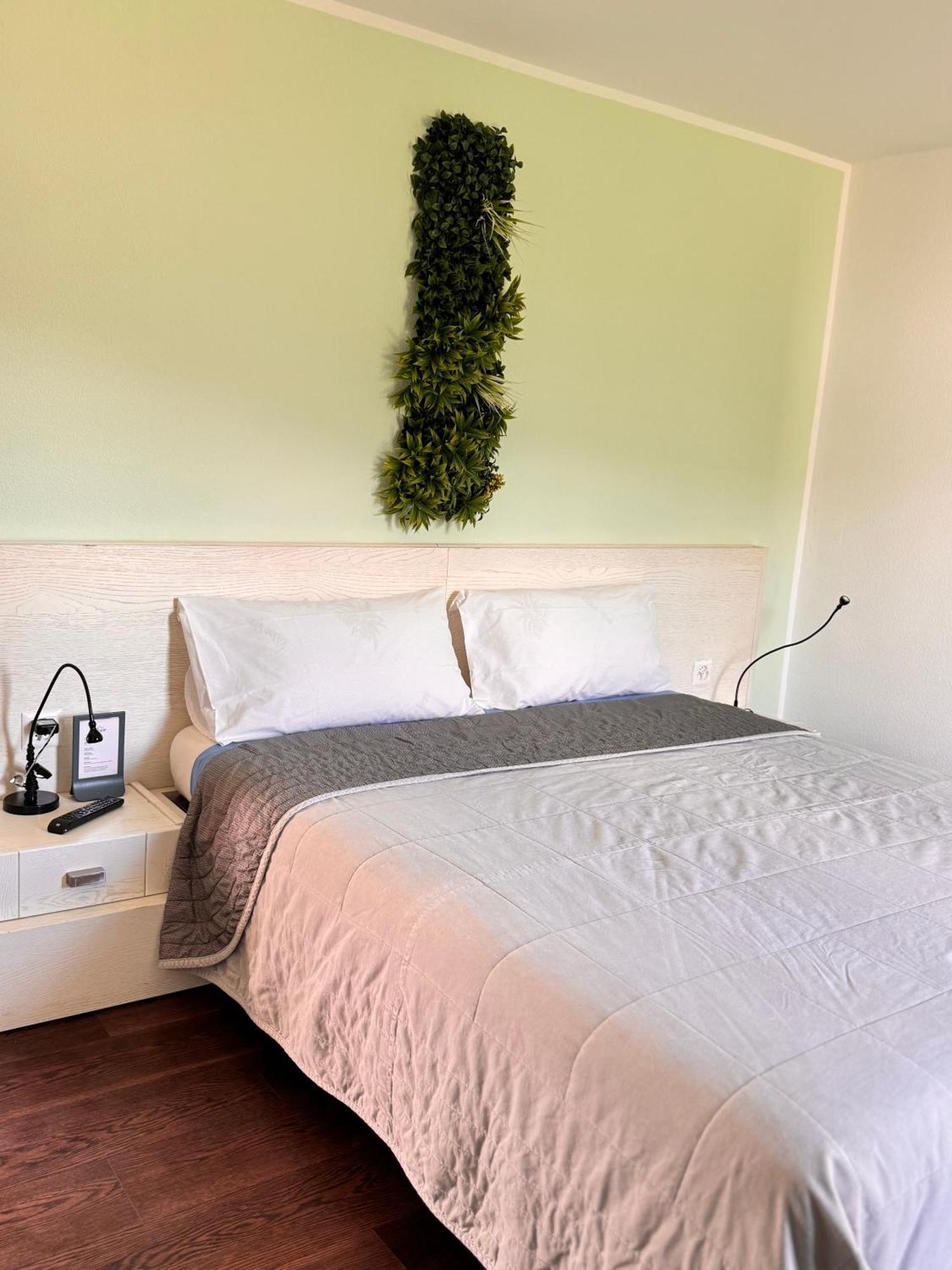 Viva Bacco Bed and Breakfast Gambarogno Εξωτερικό φωτογραφία