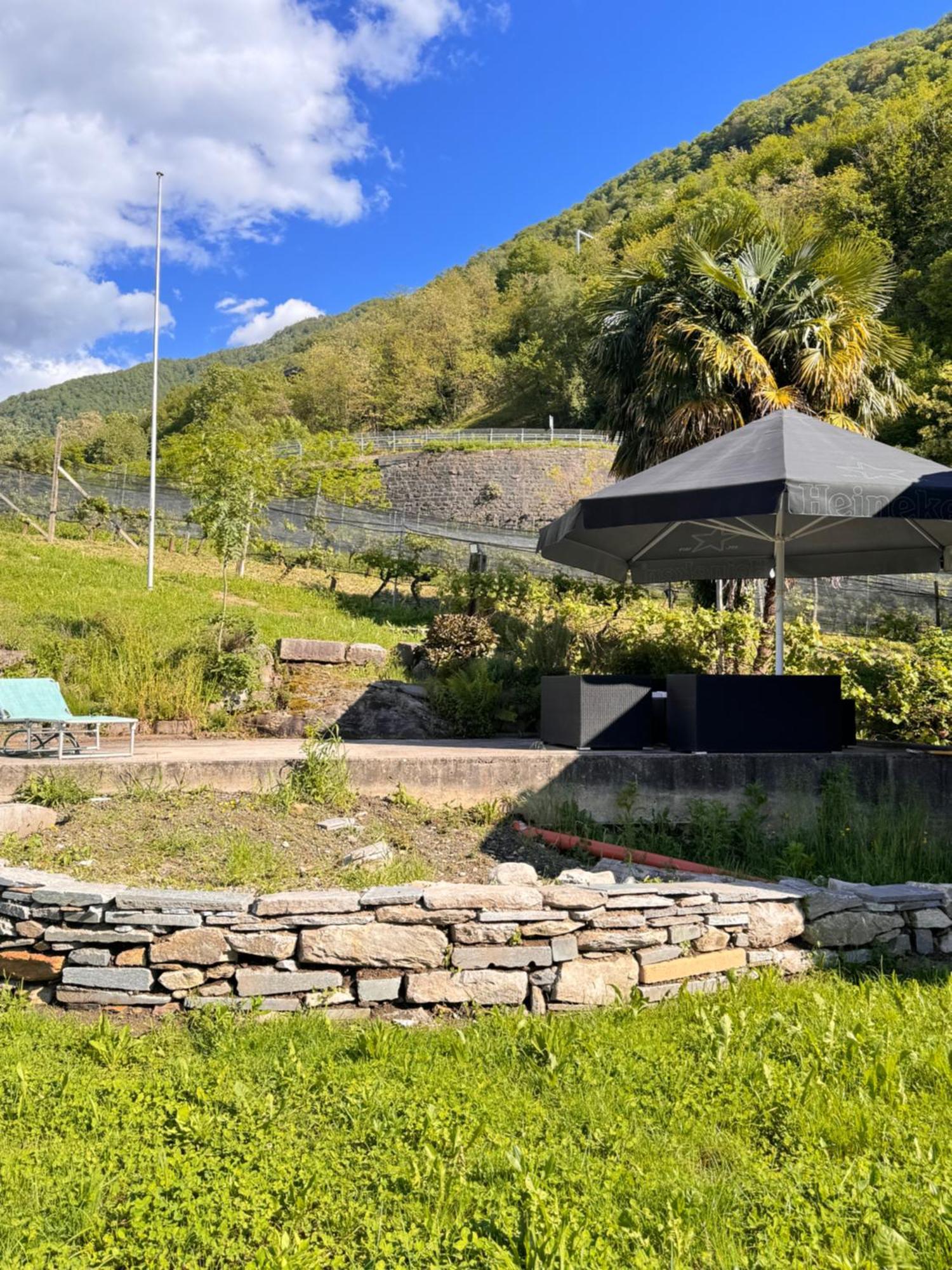 Viva Bacco Bed and Breakfast Gambarogno Εξωτερικό φωτογραφία