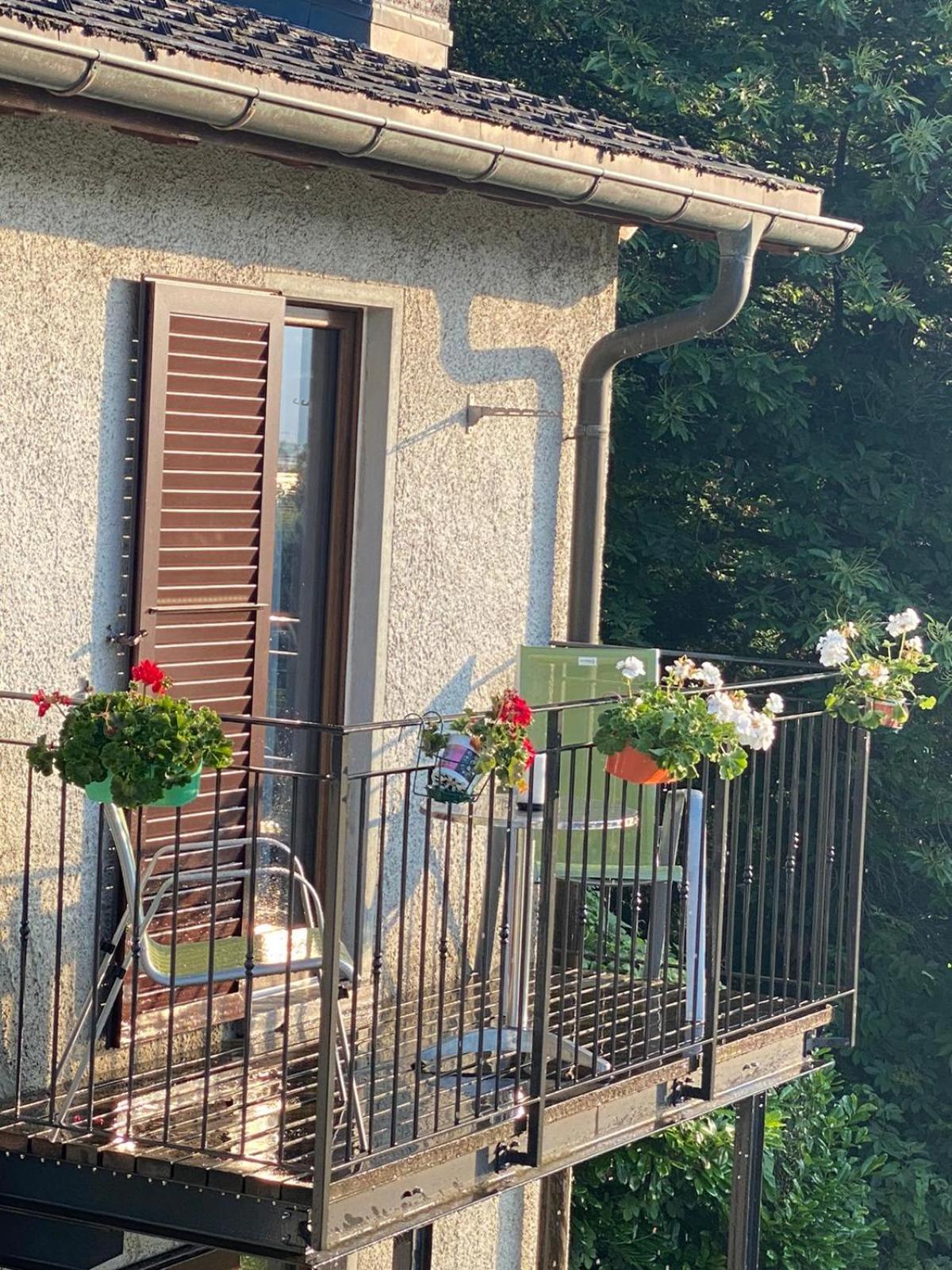 Viva Bacco Bed and Breakfast Gambarogno Εξωτερικό φωτογραφία