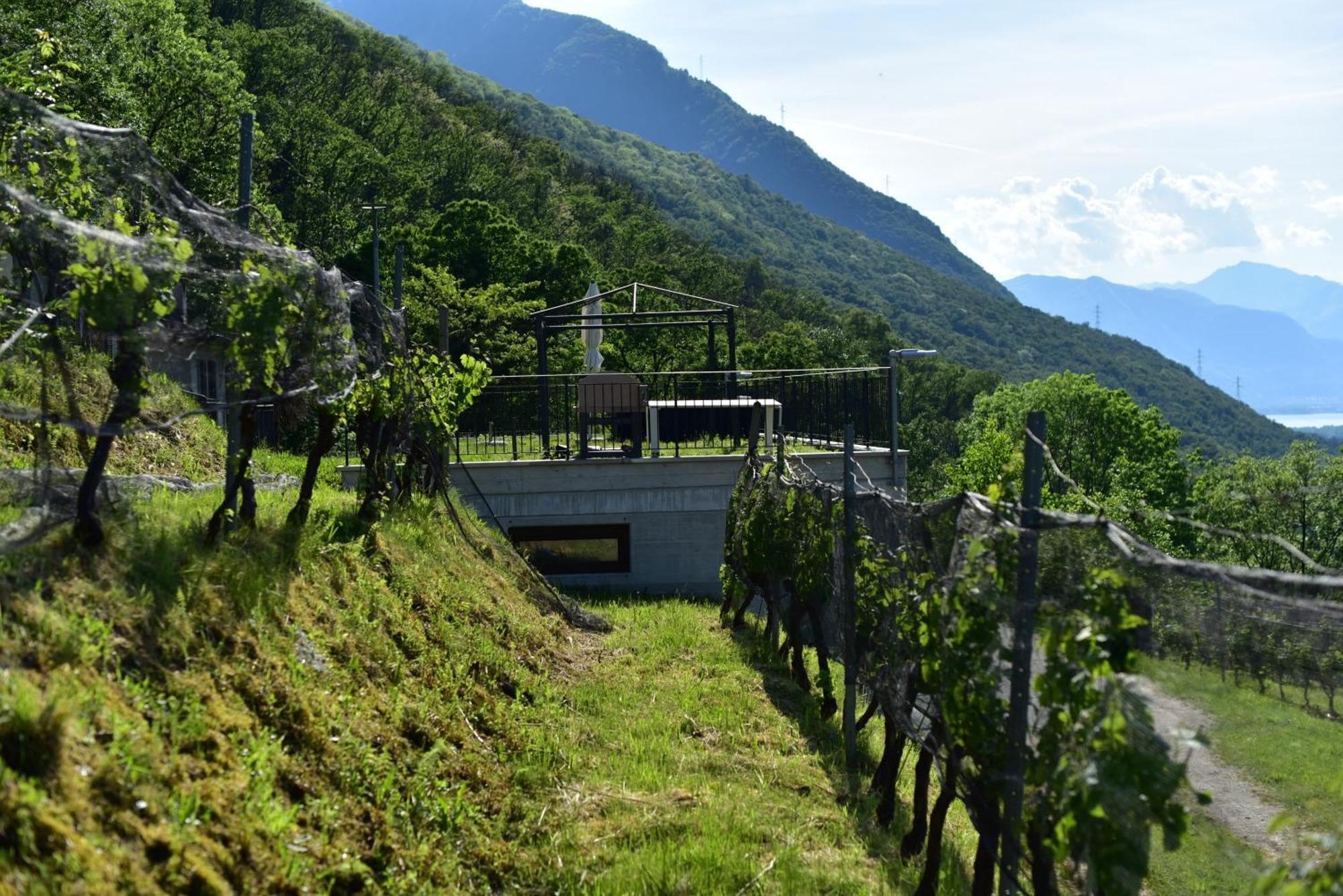 Viva Bacco Bed and Breakfast Gambarogno Εξωτερικό φωτογραφία