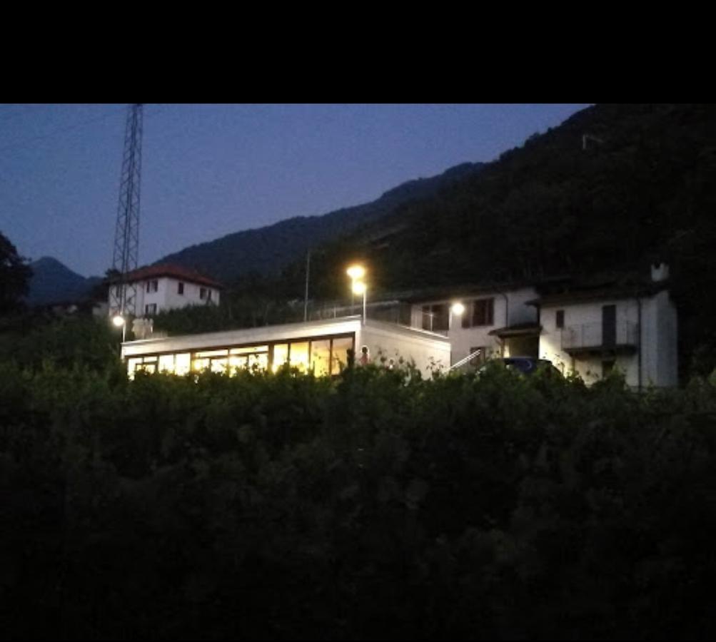 Viva Bacco Bed and Breakfast Gambarogno Εξωτερικό φωτογραφία
