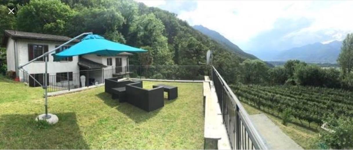 Viva Bacco Bed and Breakfast Gambarogno Εξωτερικό φωτογραφία