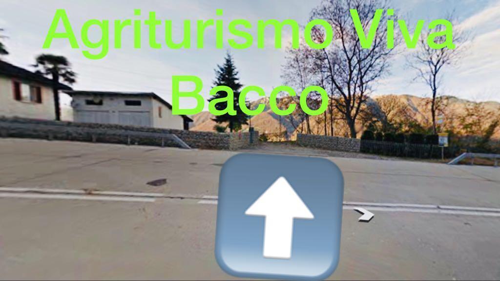 Viva Bacco Bed and Breakfast Gambarogno Εξωτερικό φωτογραφία